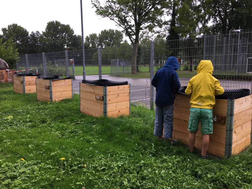 Hochbeet Pflege_Ernte