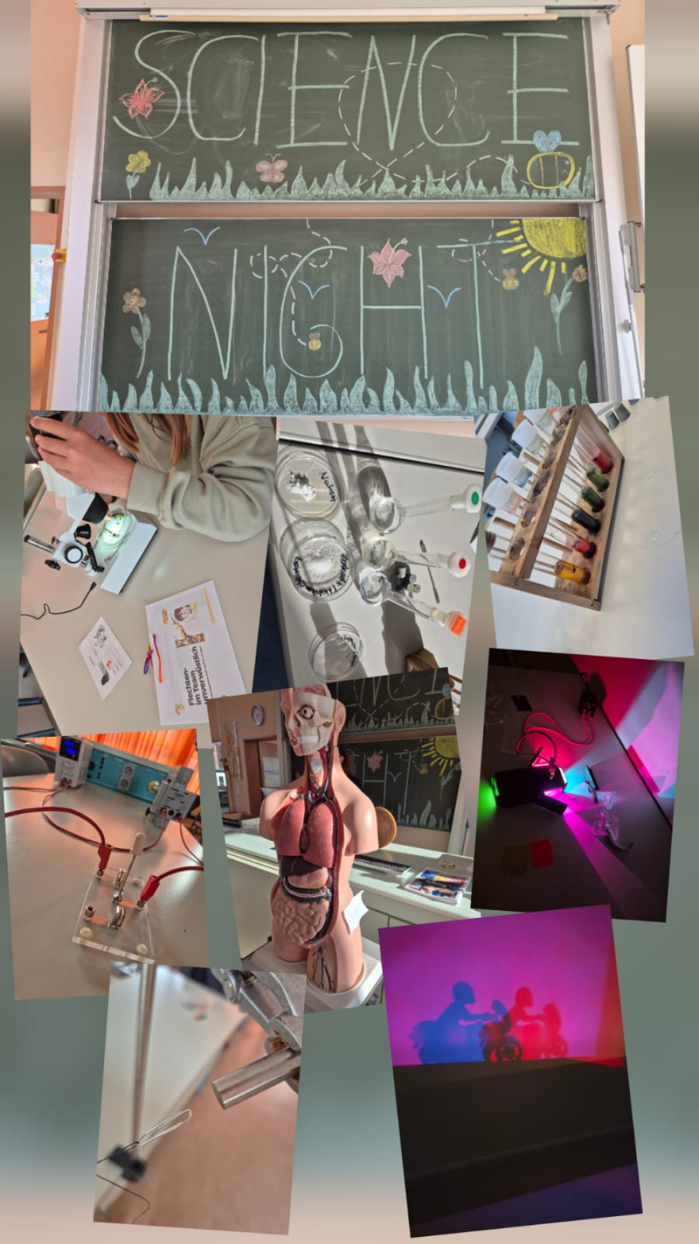ScienceNight_Collage
