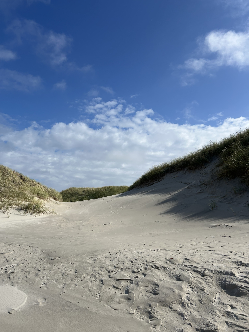 hooge5